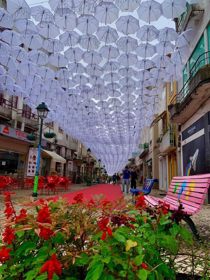 Terreno Das Mimosas Aveiro Esterno foto
